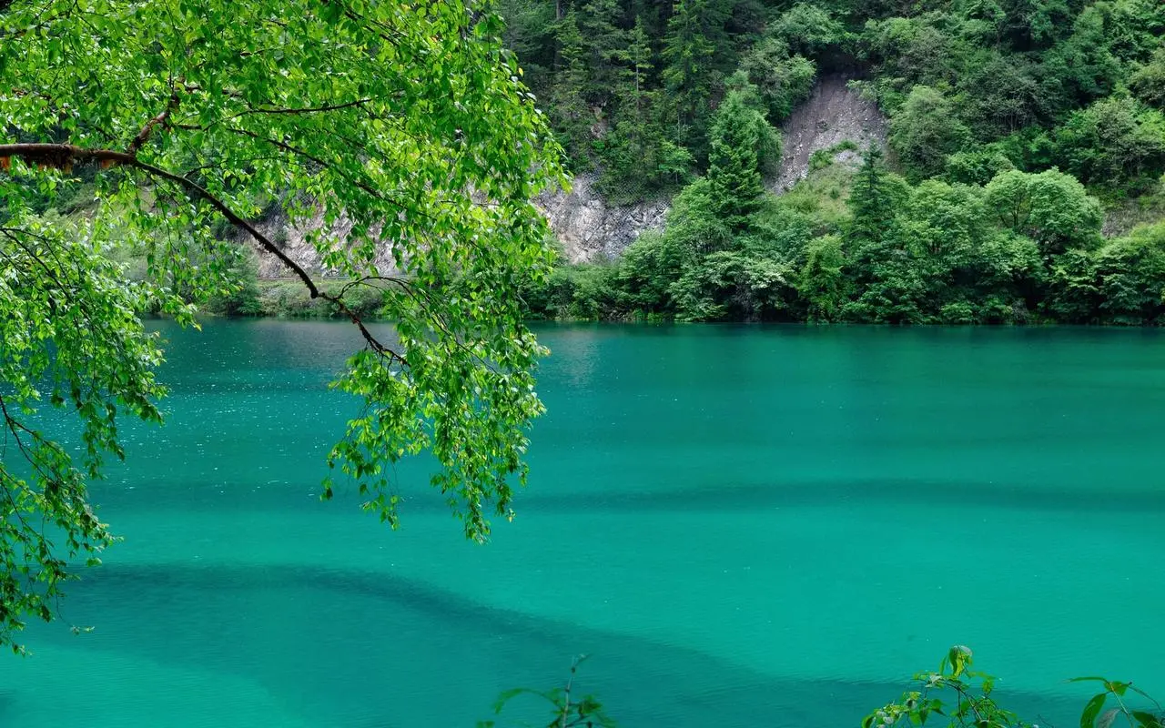 高标准高性能